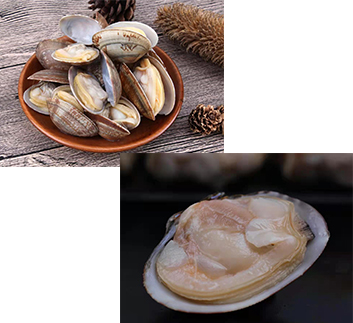 冷凍水產(chǎn)品，肉制品